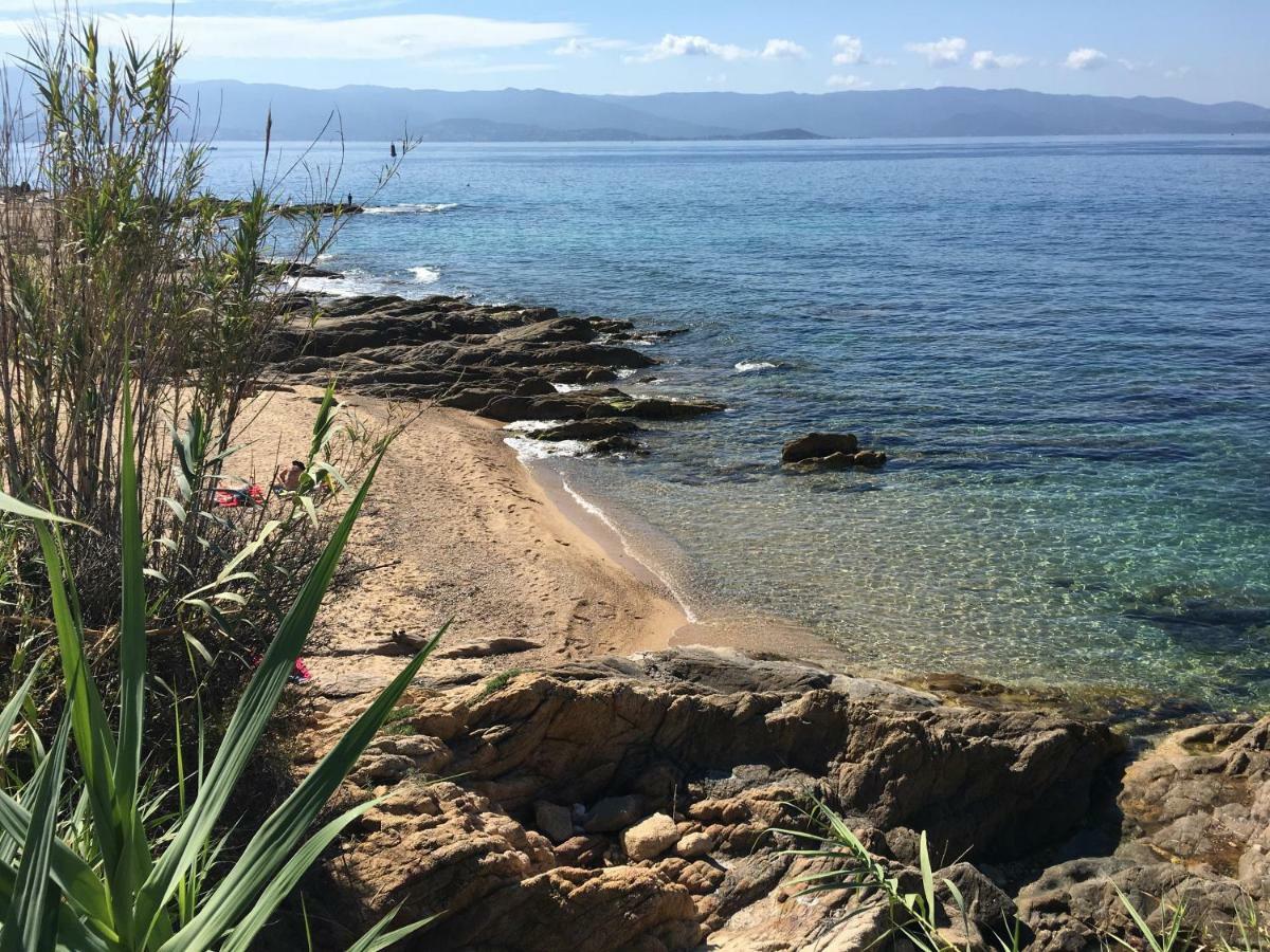 Superbe Appartement 3 Etoiles Ajaccio Debut Sanguinaires Dış mekan fotoğraf